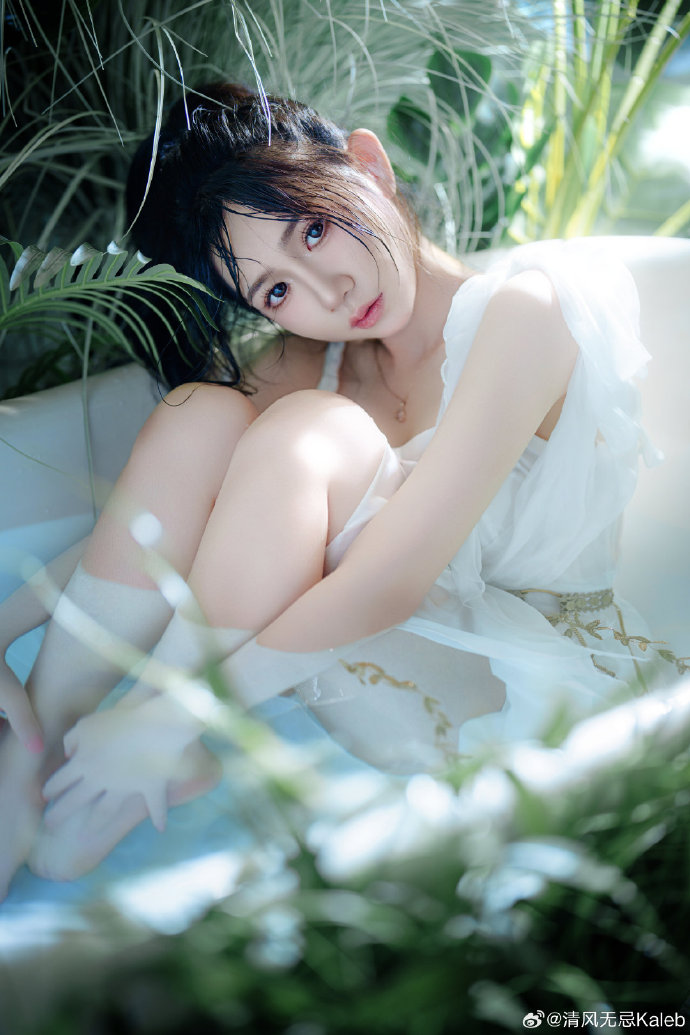 小森林 夏秋篇